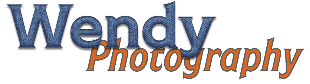 Wendy Photography